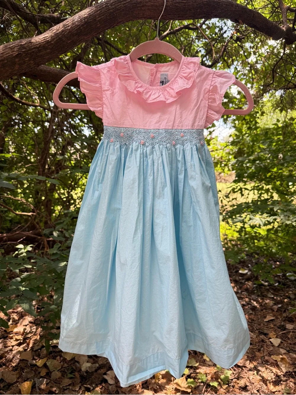 Girls Pink & Light Blue Smocked Ruffle Dress